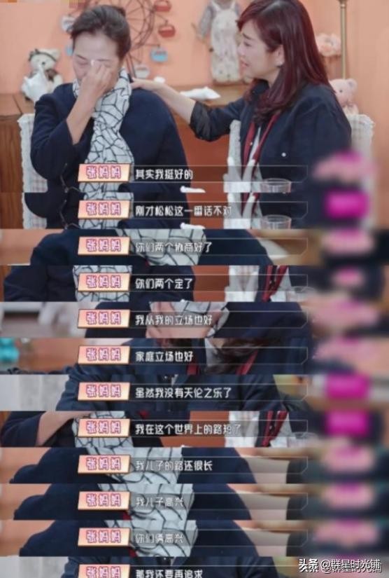 陈松伶和张铎结婚登记照(三重打击导致抑郁)(24)