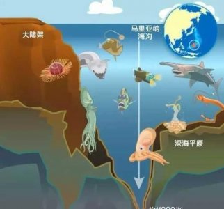 ​世界上最深的海沟,世界上最深的海沟