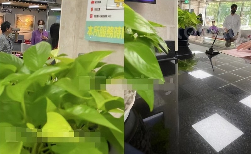 陈乔恩与男友Alan恋爱2年领证结婚（现场照曝光超甜蜜）