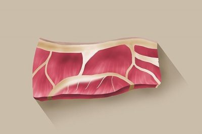 ​僵尸肉是什么意思（冰箱冷冻变成的僵尸肉还能吃吗）