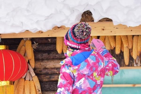 滑雪很容易受伤吗 确实如此 滑雪很容易受伤吗 确实如此