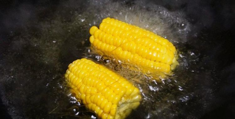 冷水下锅的玉米煮多久大火小火