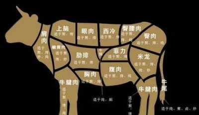 ​牛排有哪几种分类，西餐中的牛排有哪些种类？