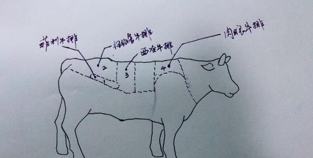 牛排有哪几种分类，西餐中的牛排有哪些种类？图2