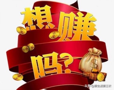 ​关于发家致富的方法（如何发家致富呢）