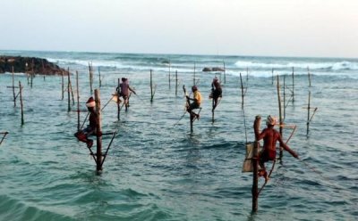 ​窖藏茅台非卖品(1973年窖藏茅台非卖品)