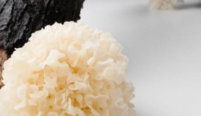 ​各种早餐汤的做法家常