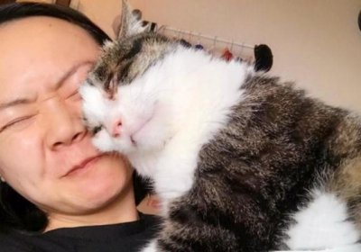 ​猫咪盯着你看是想杀死你吗（猫为什么恶狠狠的盯着你看）