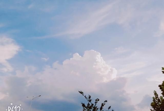 含蓄幽默表达自己生日，如何委婉的表达自己生日？图10