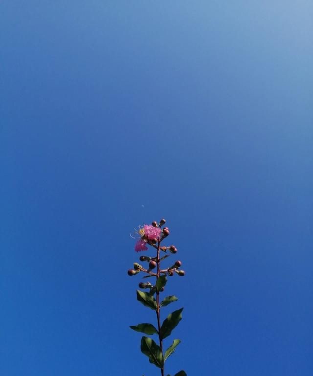 含蓄幽默表达自己生日，如何委婉的表达自己生日？图4