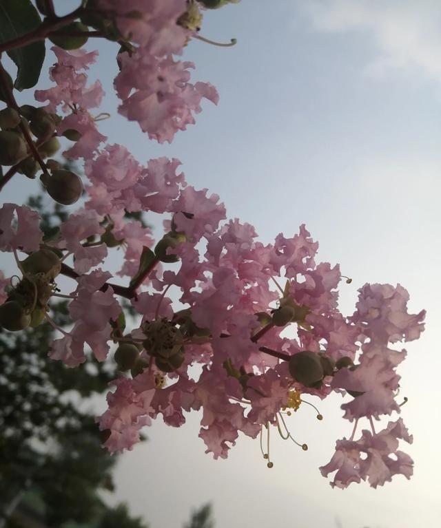 含蓄幽默表达自己生日，如何委婉的表达自己生日？图11