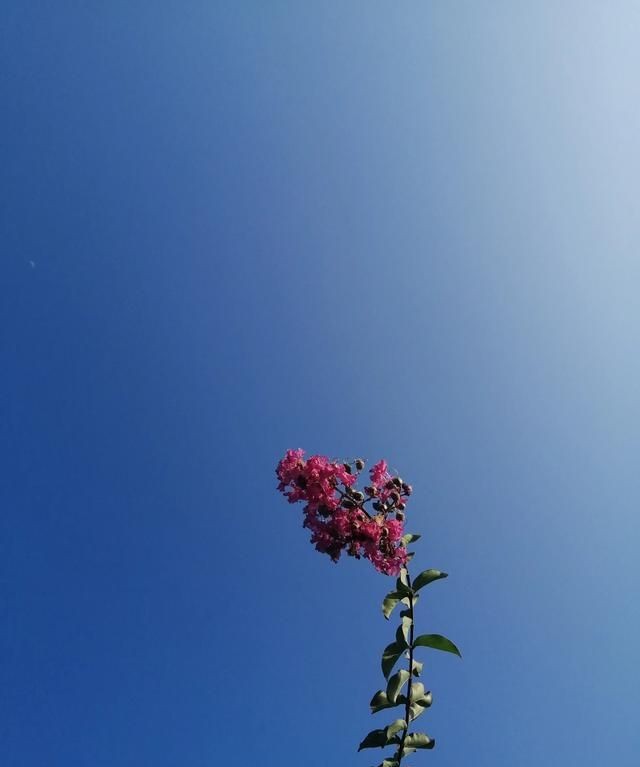 含蓄幽默表达自己生日，如何委婉的表达自己生日？图3