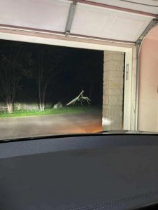 ​现实生活中的超现实：这20幅图片，让人怀疑自己的双眼