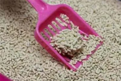 ​猫砂能不能用来养花