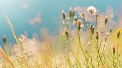 ​含蓄蕴藉什么意思读音是什么 含蓄蕴藉的句子