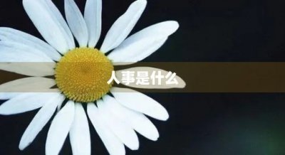 ​人事是什么