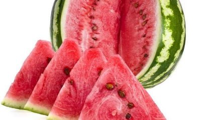 ​8284西瓜是什么西瓜,麒麟西瓜8424是什么意思