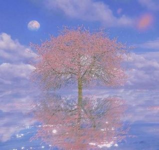 ​微信一句话签名经典语句(生活应该温柔)