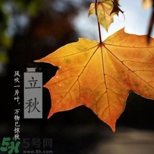 ​早立秋是什么?早立秋和晚立秋的区别