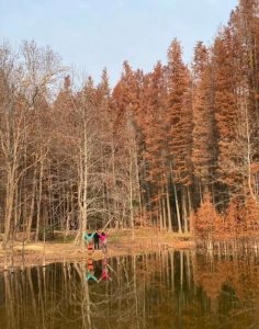 ​如何维护朋友之间的关系(怎么维护和朋友的关系)