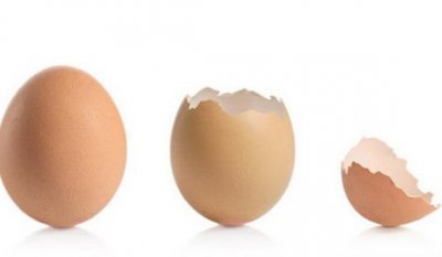 ​蛋壳不要再扔掉了，它还可以这么用！