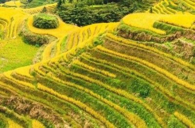 ​57岁男人算不算老