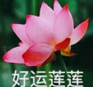 ​老人死后为什么有的人害怕(家里老人去世为什么要守夜)