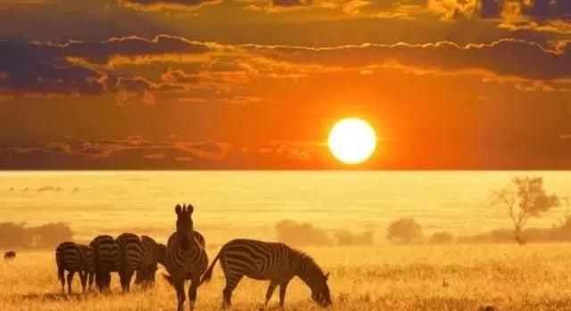 热气球项目好玩吗,热气球项目经营条件图3