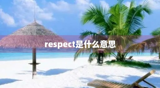 respect是什么意思 respect是什么意思