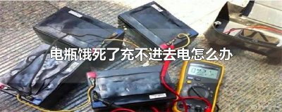 ​电瓶饿死了充不进去电怎么办