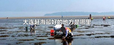 ​大连赶海最好的地方是哪里
