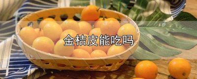 ​金桔皮能吃吗