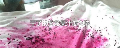 ​干了的火龙果汁怎么洗