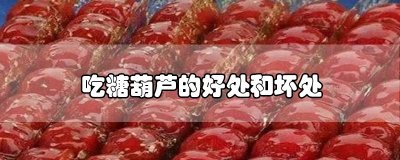 ​吃糖葫芦的好处和坏处