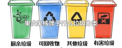 ​果皮果核属于什么垃圾分类