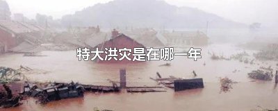 ​特大洪灾是在哪一年