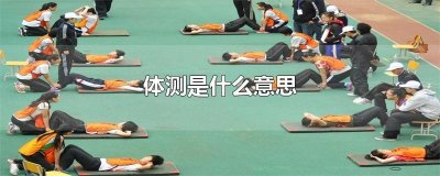 ​体测是什么意思