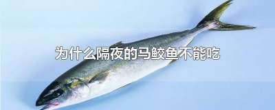 ​为什么隔夜的马鲛鱼不能吃