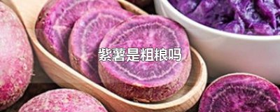​紫薯是粗粮吗