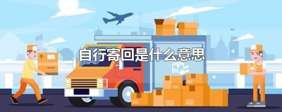 ​自行寄回是什么意思
