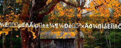 ​请问去海山和毒蛇和黑暗神庙等副本都需要钥匙吗具体任务怎么接做谢谢