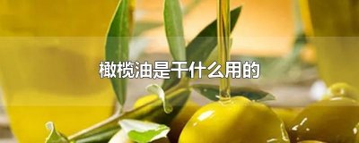 ​橄榄油是干什么用的