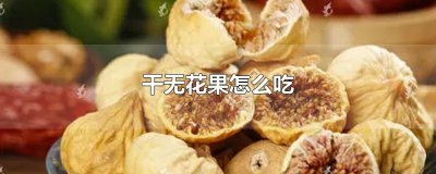 ​干无花果怎么吃