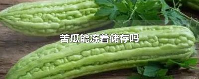 ​苦瓜能冻着储存吗