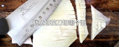 ​发鱿鱼花怎么切 鱿鱼卷花刀切哪面