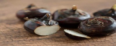 ​马蹄是啥水果