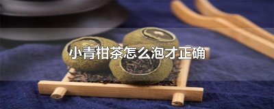 ​小青柑茶怎么泡才正确