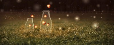 ​萤火虫的爱情寓意