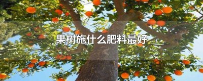 ​果树施什么肥料最好