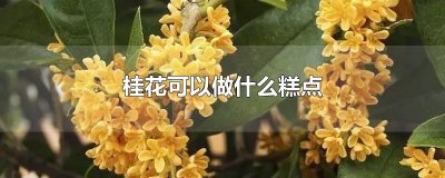 ​桂花可以做什么糕点